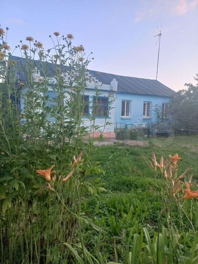 Дом 65 м² на участке 32,7 сот.