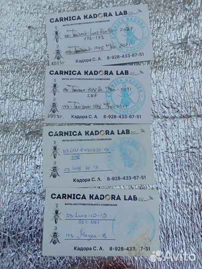 Пчелосемьи, пчелопакеты