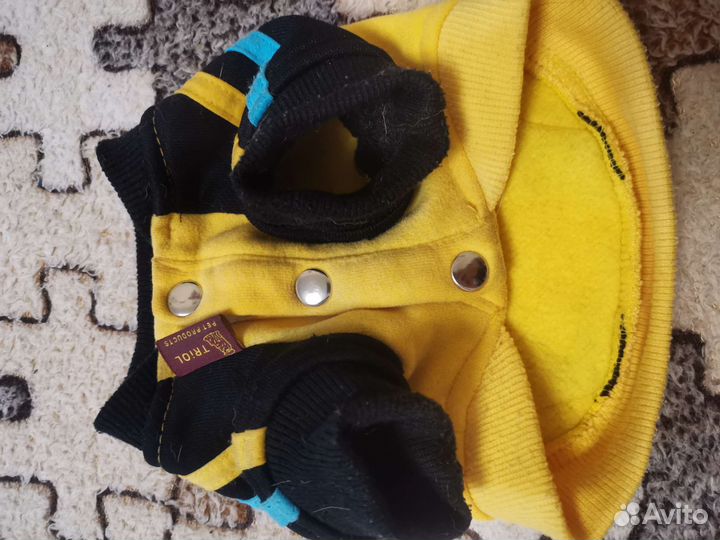 Вещи на маленькую собачку