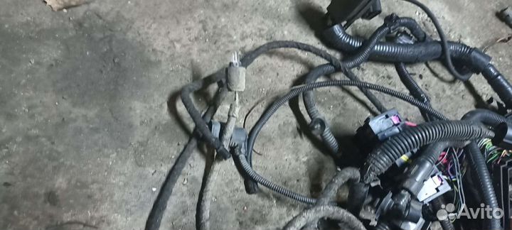 Проводка подкапотная VW transporter T5 1.9