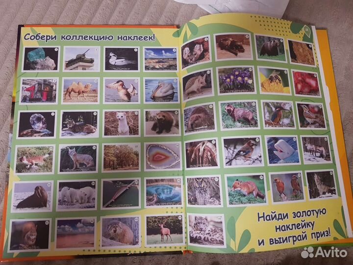 Наклейки монетка