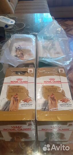 Влажный корм для собак