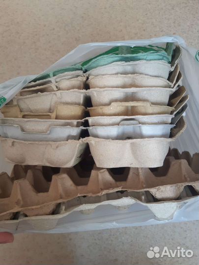 Ячейки для яиц