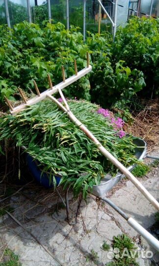 Грабли деревянные. Новые