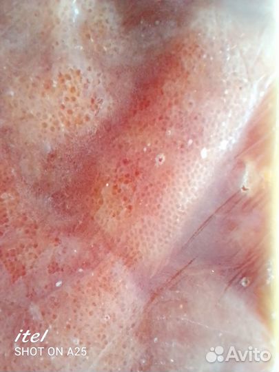 Икра щуки свежезамороженная