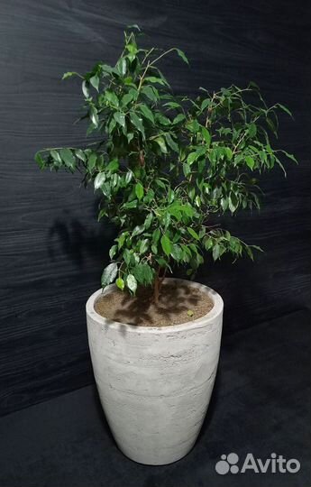 Горшки, Вазоны, Кашпо под заказ из бетона