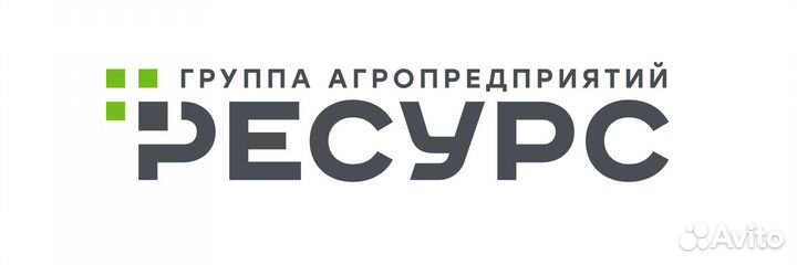 Мерчендайзер