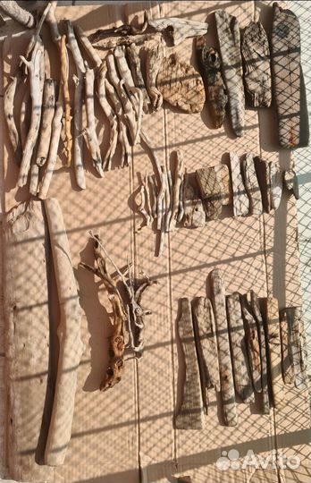 Коряги дрифтвуд