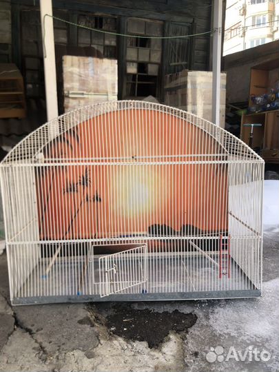 Большая клетка для птичек