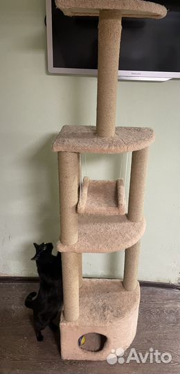 Когтеточка домик для кошки и кота