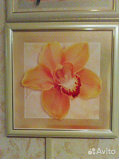 Постеры/картины