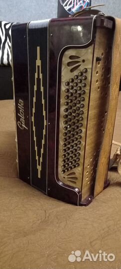 Аккордеон galotta