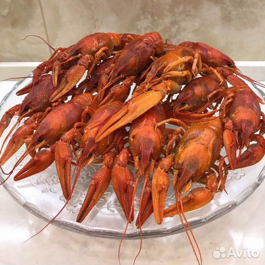 Раки