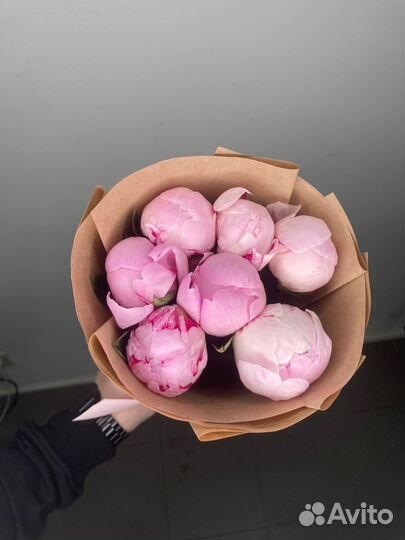 Цветы пионы доставка