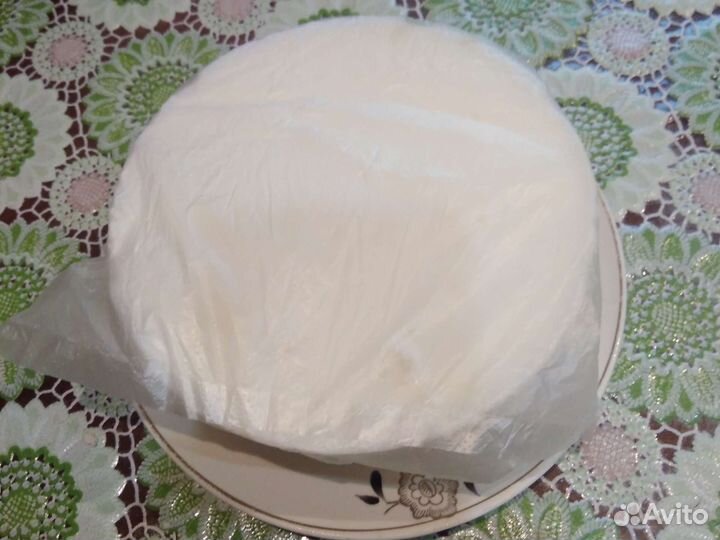 Молодой пес, отростки алоэ, козий жир