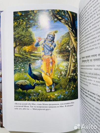 Бхагавад-гита как она есть