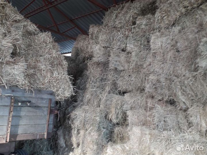 Сено солома