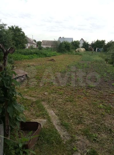 Дом 55 м² на участке 12 сот.
