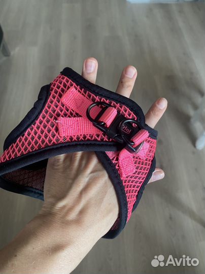 Шлейка для маленькой собаки