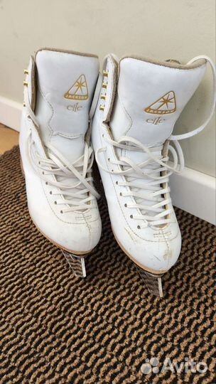 Коньки jackson elle