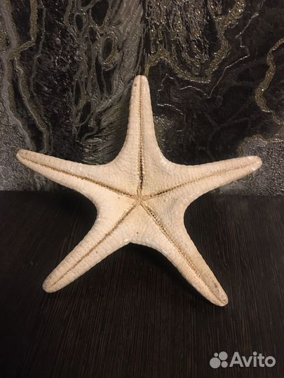 Декоративная морская звезда