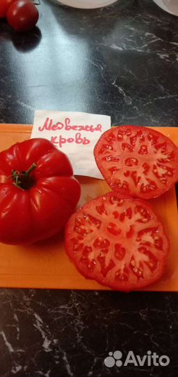 Семена коллекционных томатов