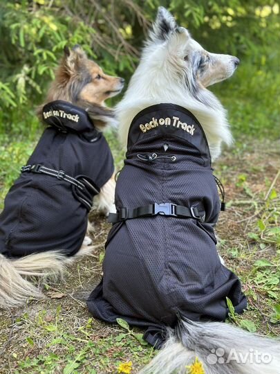 Попона Dog Mash Back on Track