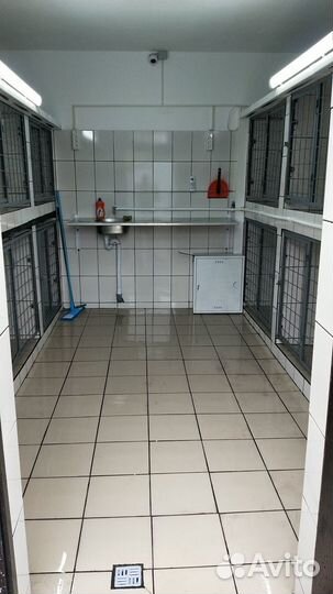 Гостиница/передержка для собак с ветсопровождением