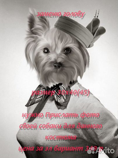 Собаки костюмы