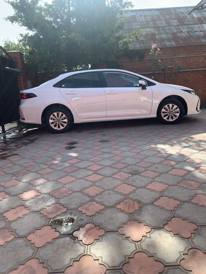 Toyota Corolla: фото владельца