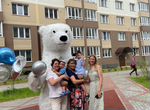 Медведь поздравление белого медведя в Новосибирске