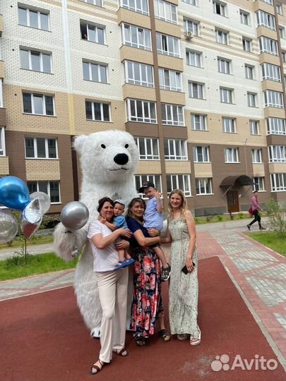 Медведь поздравление белого медведя в Новосибирске