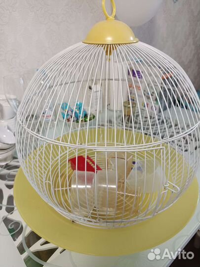 Клетка для птиц бу