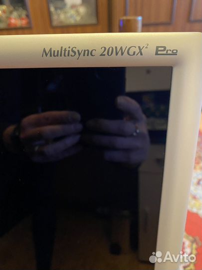 Монитор NEC MultiSync 20WGX2 Pro