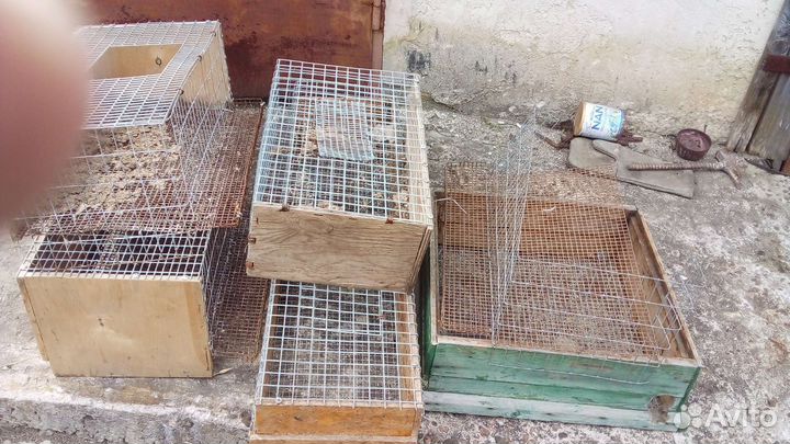 Инкубатор + свет + клетки для перепелов