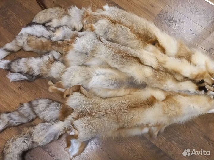 Шкуры лисы
