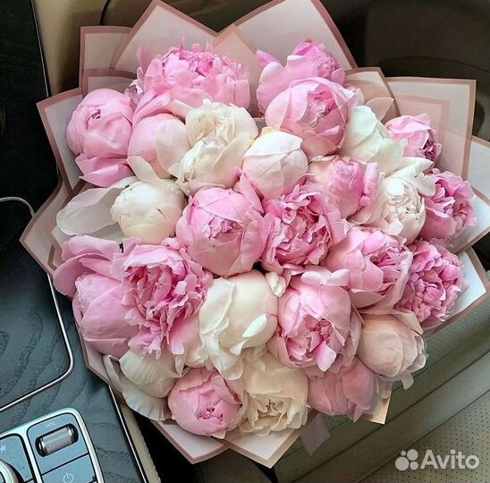 Пионы Букет