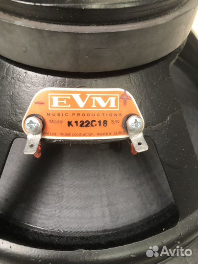 Динамик evm новый