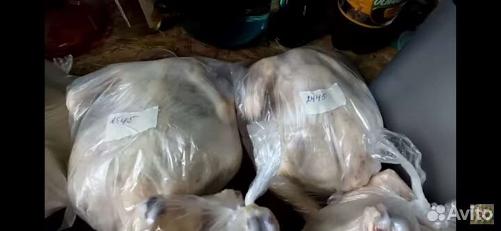 Тушка бройлера домашняя