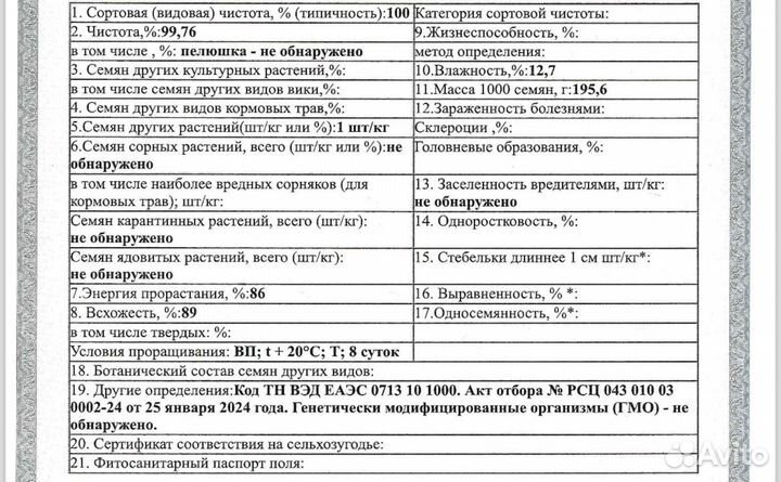 Горох усатый кормовой