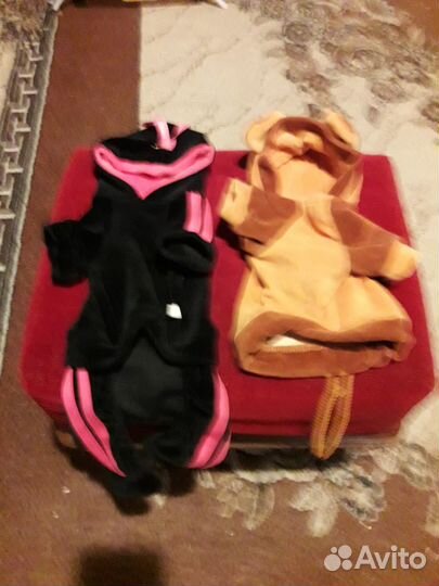 Комплект костюмчиков для собачки