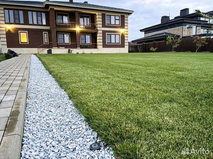 Рулонный газон: производство, доставка, укладка