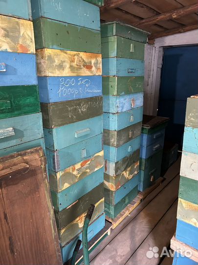 Ульи дадан, магазины, корпуса