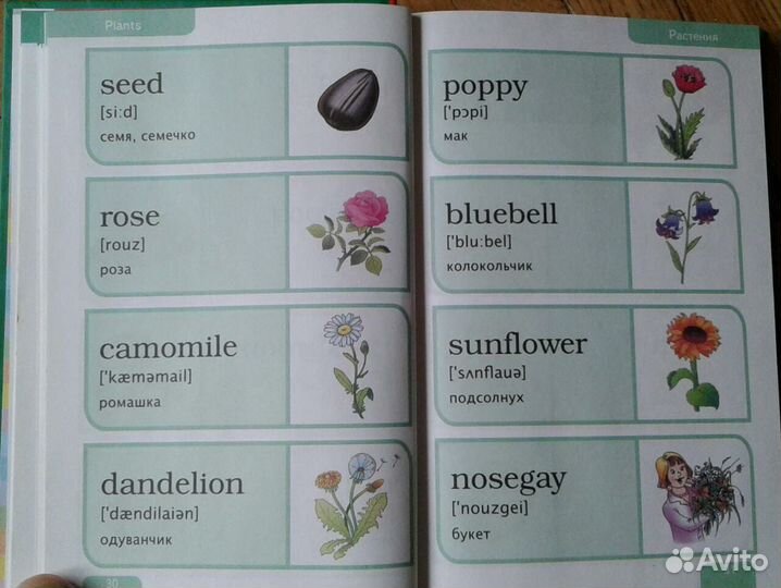 Мой первый английский словарь