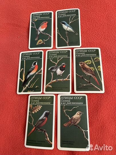 Календарики Соловьи СССР, Природа Подмосковья