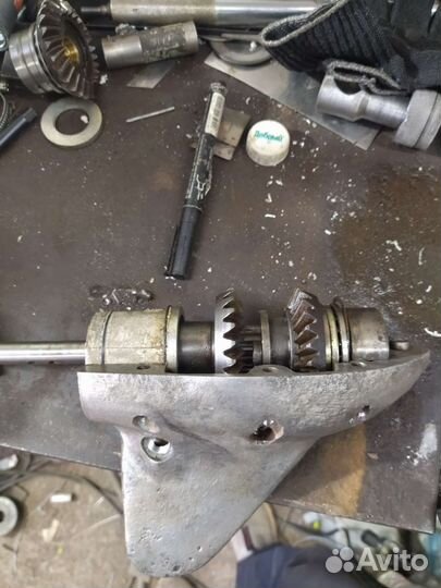 Гибрид Вихрь 20