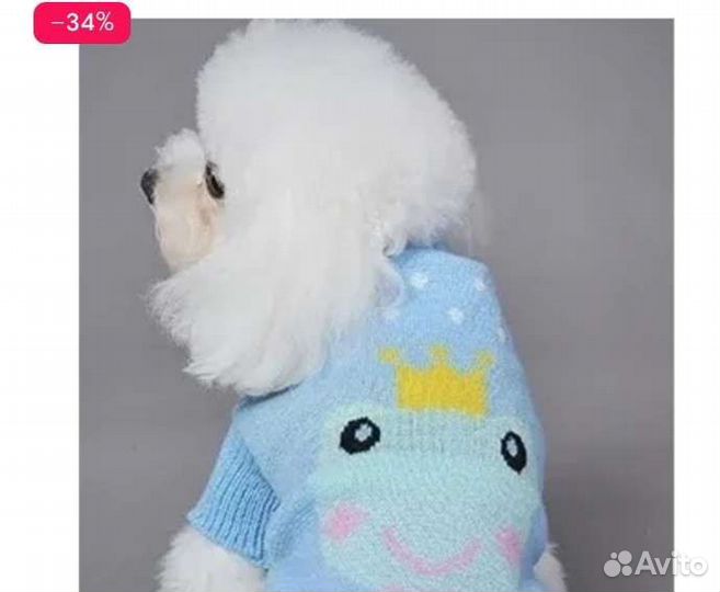 Одежда для животных