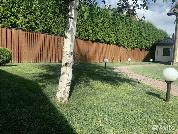 Рулонный газон