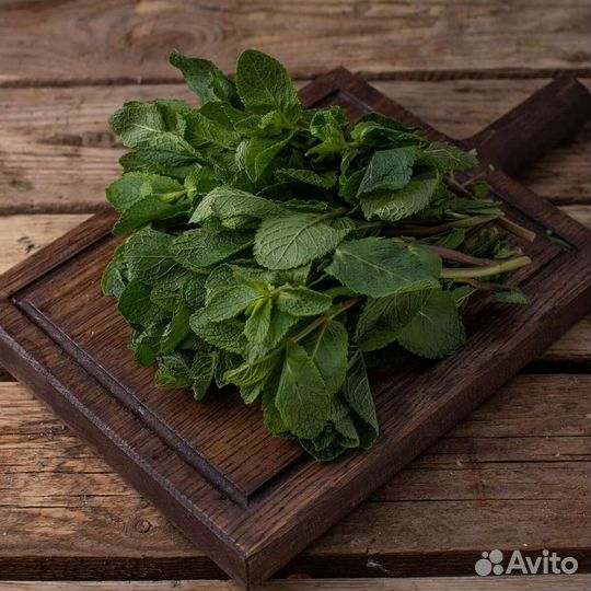 Мята свежая с огорода
