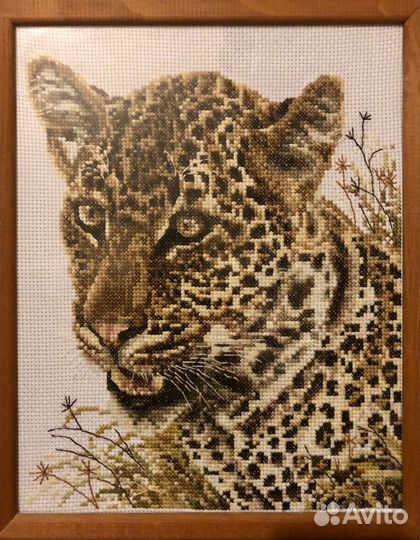 Картина вышивка - Леопард